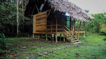 A wooden cabin with a thatched roof, surrounded by lush greenery.