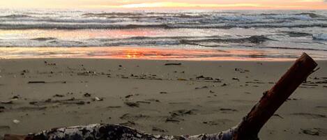 A beach with a driftwood log and footprints in the sand.