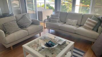 Smart TV, fireplace, video games, DVD player