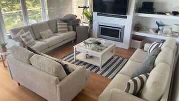 Smart TV, chimenea, videojuegos y reproductor de DVD