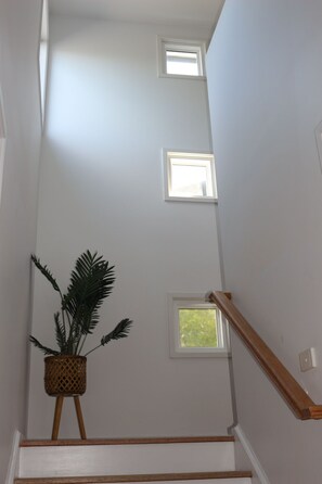Eine Treppe mit weißen Wänden und Holzhandläufen. Drei kleine Fenster sind in der Wand eingelassen, und eine Topfpflanze steht links von der Treppe.