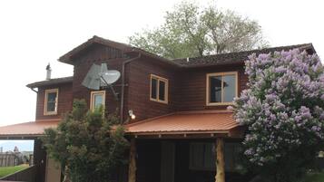 A wooden house with a satellite dish, a porch, and a tree with purple flowers.