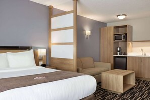 Business Room, 1 Queen Bed, Non Smoking | Desk, blackout drapes, iron/ironing board, free cribs/infant beds