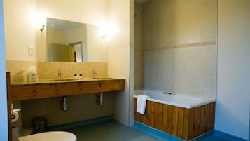 Combined shower/bathtub, free toiletries, hair dryer, towels