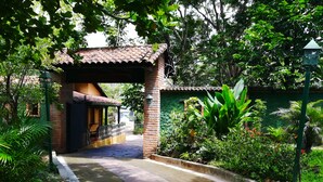 A brick pathway leading to a covered entrance with a tiled roof, surrounded by lush greenery and a green wall.