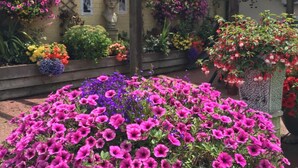 Un jardín con diversas flores y una estructura de pérgola.