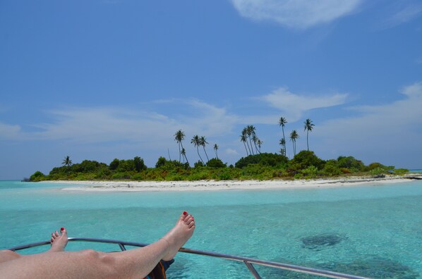 Vue depuis l’hébergement