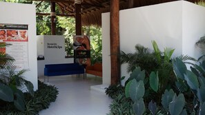 Aula