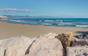Playa en los alrededores y pesca