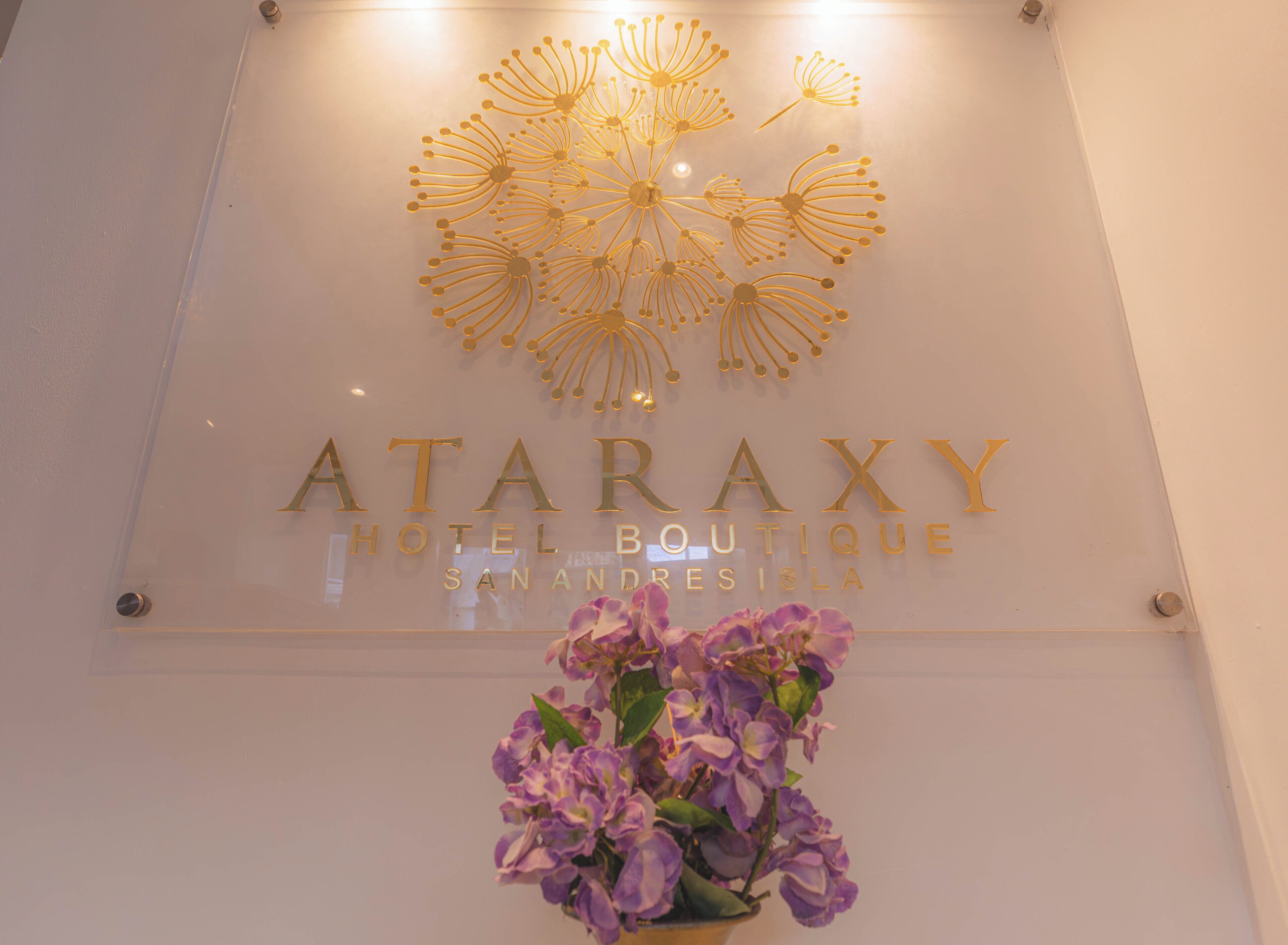 Photo - Ataraxy Hotel Boutique