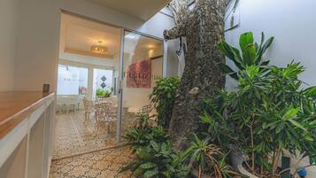 Un espacio interior con piso estampado, un árbol grande y plantas en macetas.