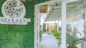 Entrada de um hotel com uma parede verde, uma placa com 'ATARAXY HOTEL BOUTIQUE SAN ANDRES ISLA' e plantas em vasos ao longo do caminho.