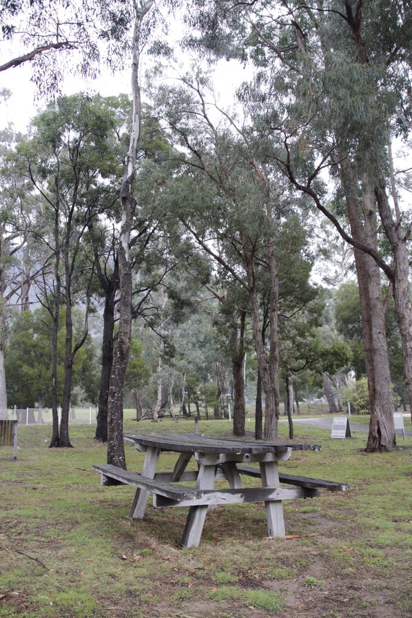 Una mesa de picnic en un parque, rodeada de árboles.