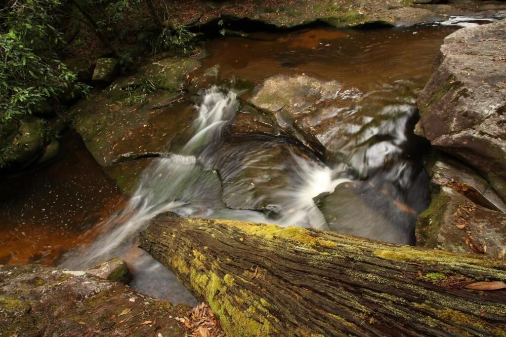 A natural stream flowing over rocks with a fallen log in the foreground.
