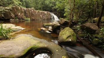 Una cascada natural en un área boscosa con un arroyo cristalino y rocas.