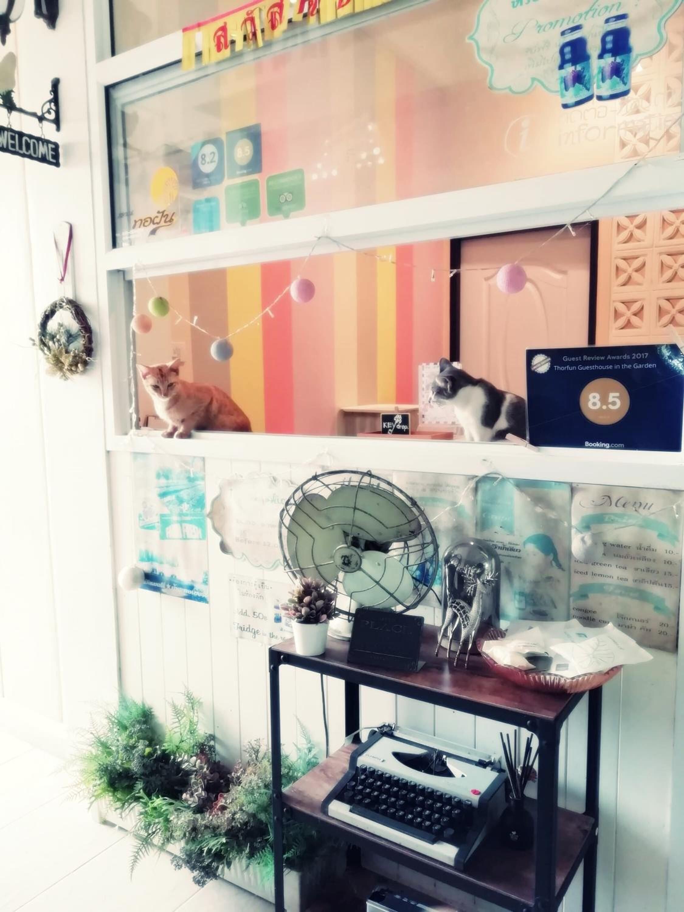 Um quarto com janela, uma estante com um gato, um ventilador e uma pequena mesa com uma máquina de escrever.