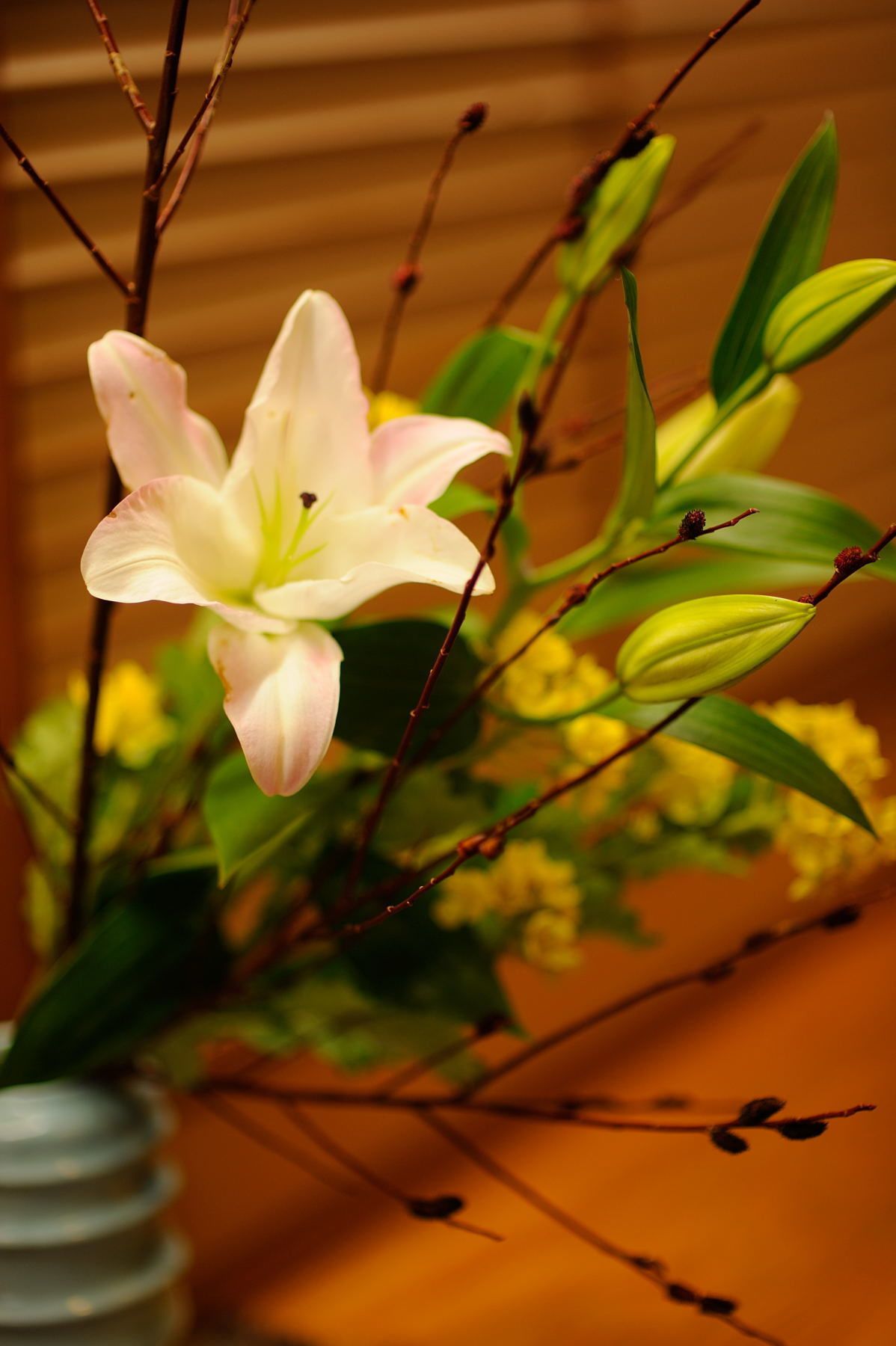 Un jarrón con una sola flor de lirio blanco y hojas verdes.