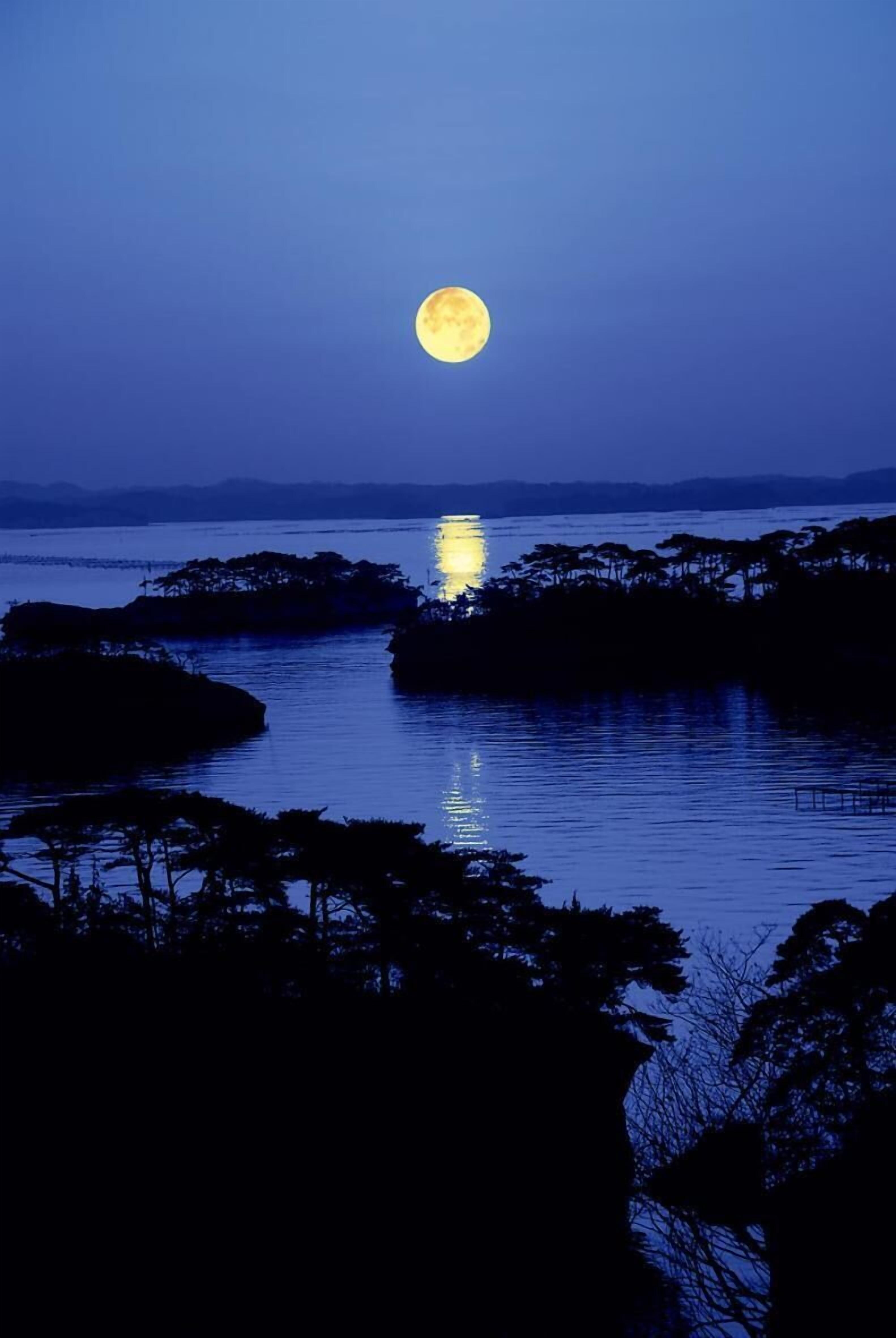 A night scene with a full moon reflecting on water, surrounded by trees.