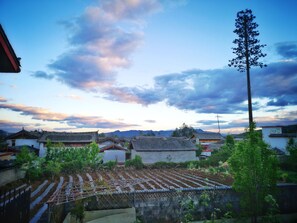Traditional buildings with tiled roofs, a garden area with plants, and a clear sky with clouds.