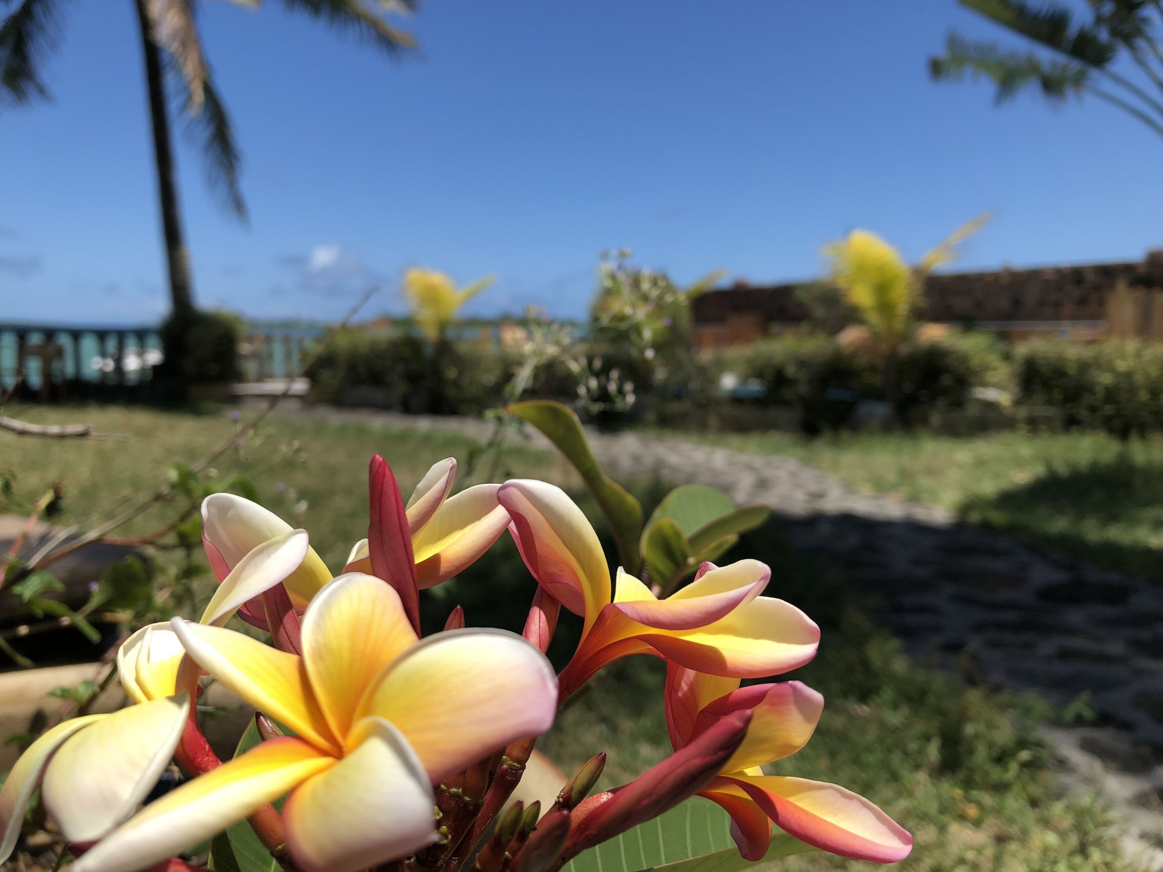 Foto - Coco Villa