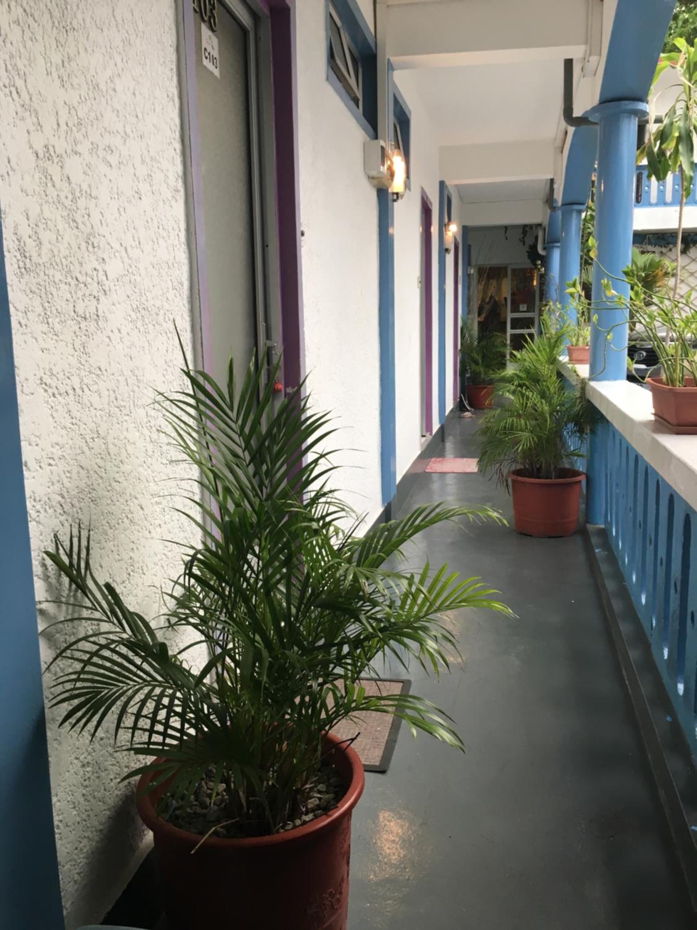Un corridoio con piante in vaso, una ringhiera blu e un muro bianco con una porta contrassegnata 'C13'.