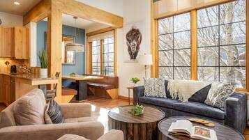 平板电视、壁炉、DVD 播放器