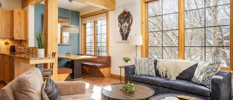 Televisión de pantalla plana, chimenea y reproductor de DVD