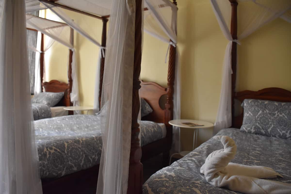 Escritorio, sistema de insonorización, wifi gratis y ropa de cama