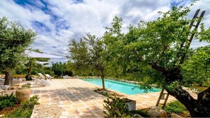 Outdoor pool, sun loungers