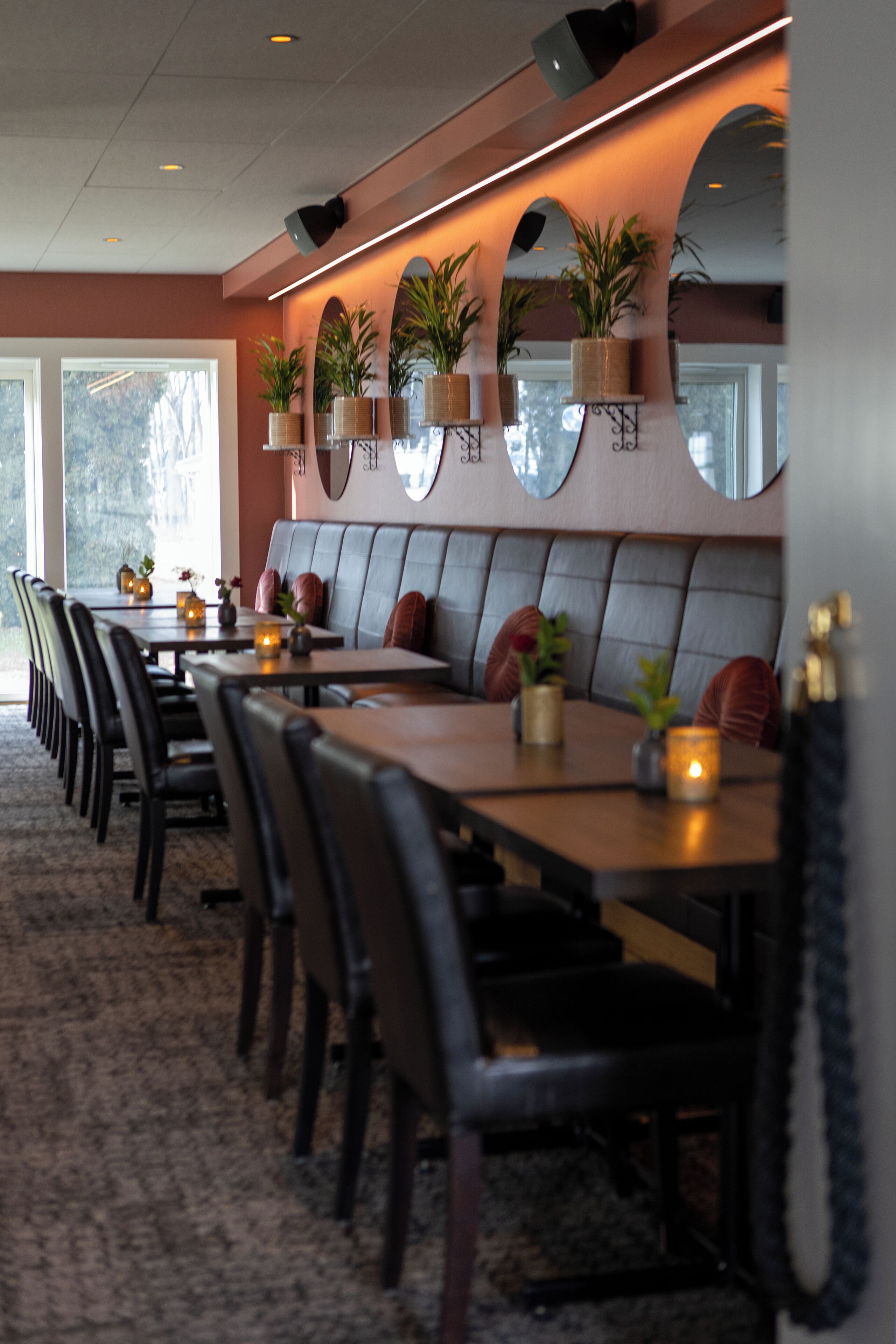 international cuisine