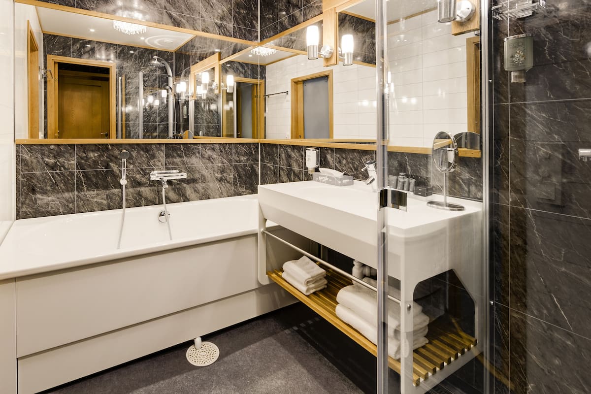 premium junior suite | bathroom shower