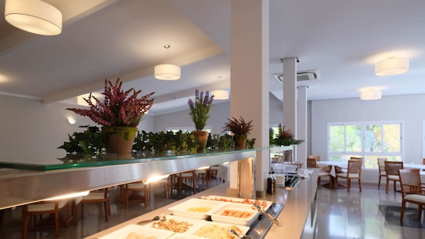 Un área de bufé con diversas opciones de comida, una barra con cubierta de vidrio y plantas en macetas.