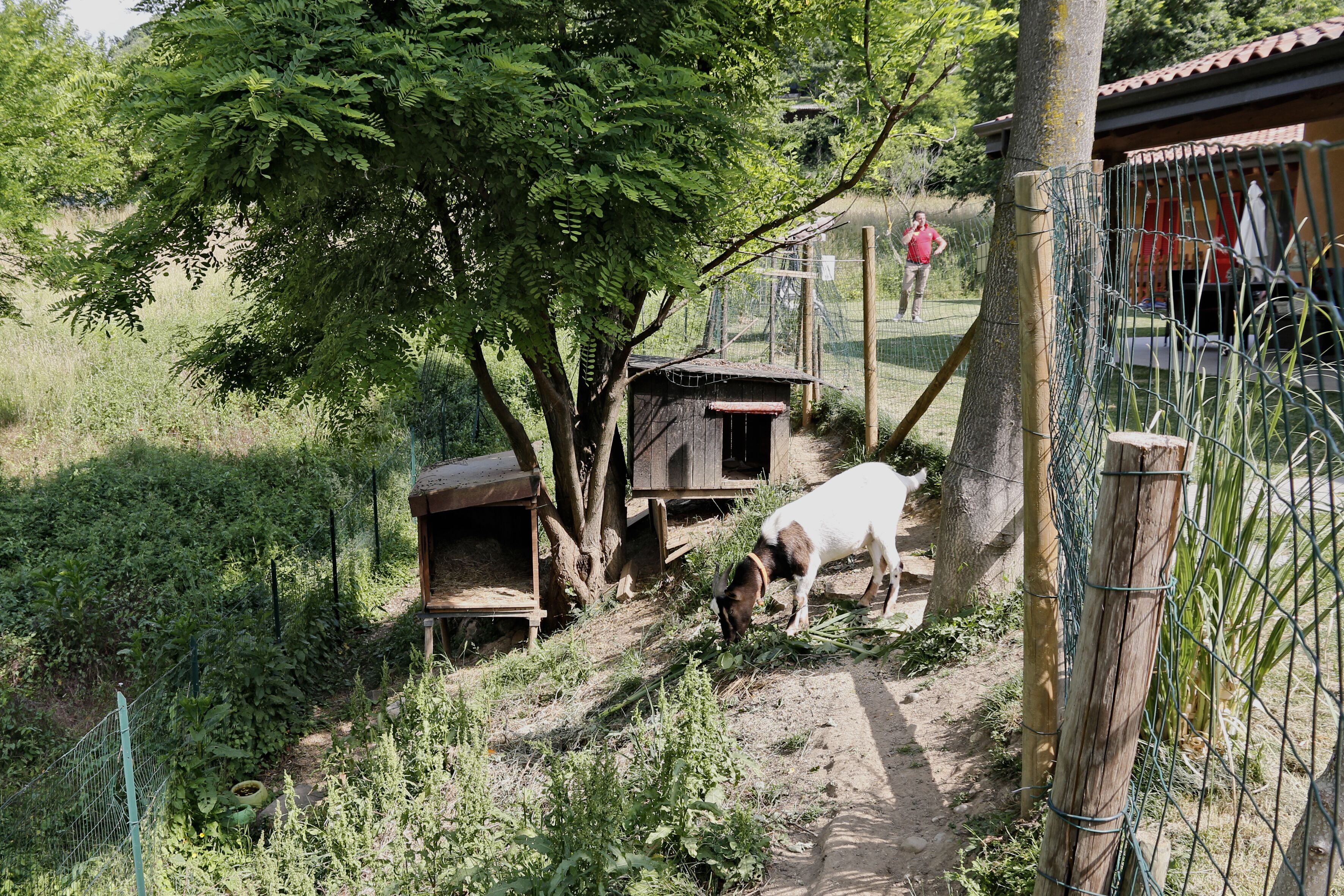 A rural setting with a dirt path, wooden structures, and a fenced area.