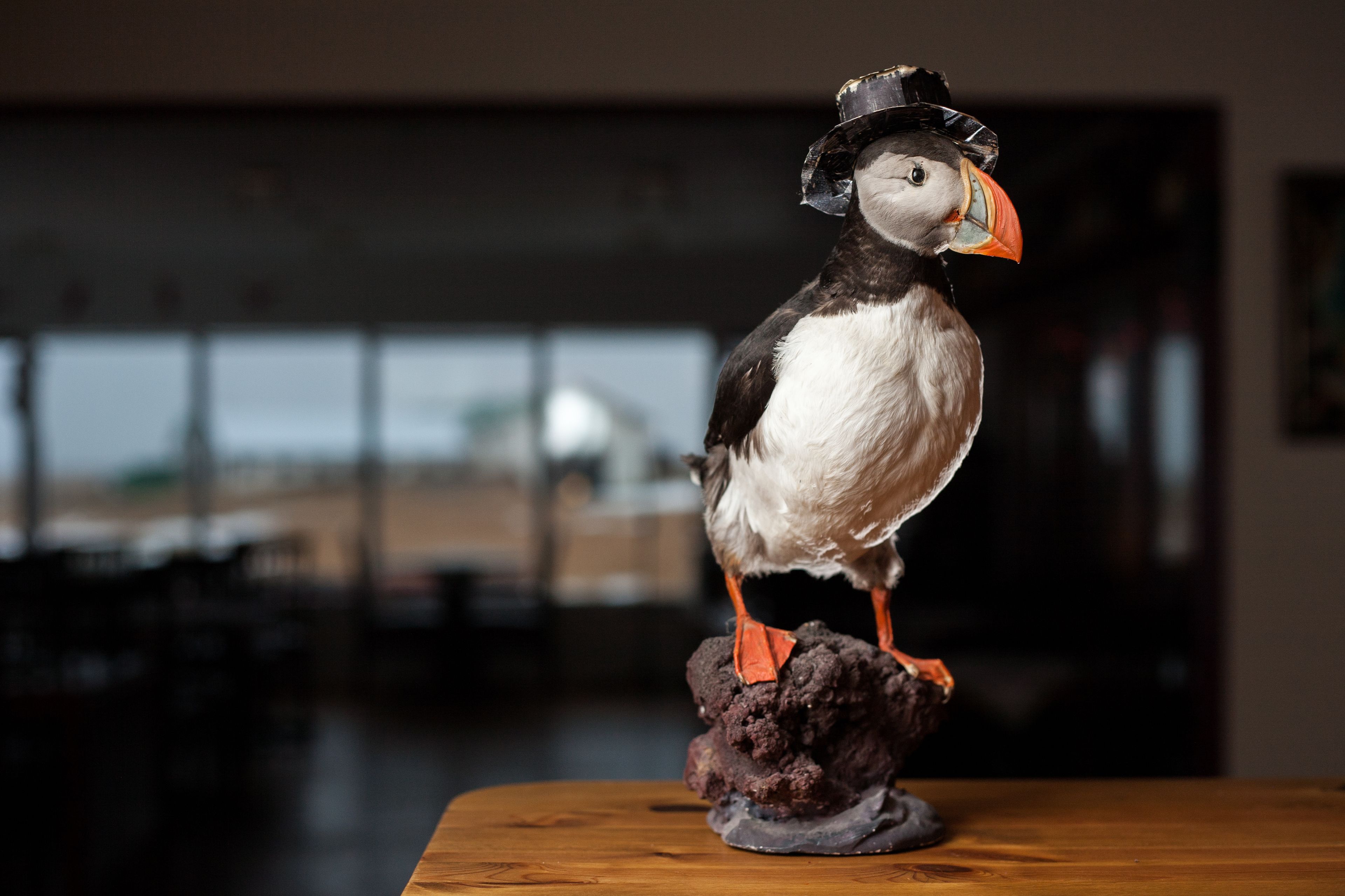 lunch and dinner served, seafood