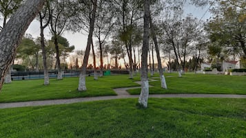 Jardín