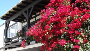 Ein Gebäude mit einem Balkon, einer Holz-Pergola und einem großen Strauch mit roten Blüten.
