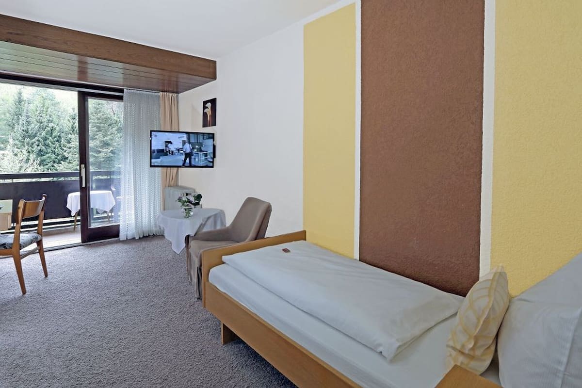 Une chambre d’hôtel avec un lit, une chaise, une petite table, une télévision et un balcon donnant sur la forêt.