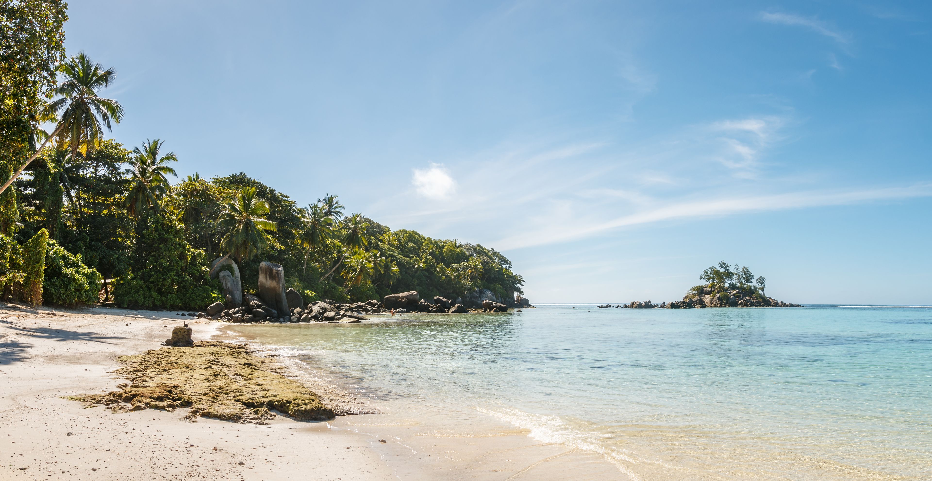 A beach with clear water, sandy shore, and lush greenery.