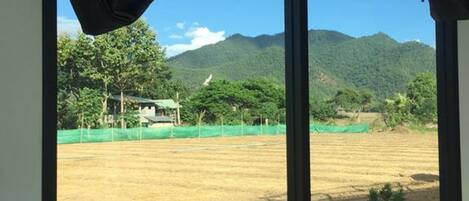 Standaard kamer | Kameruitzicht