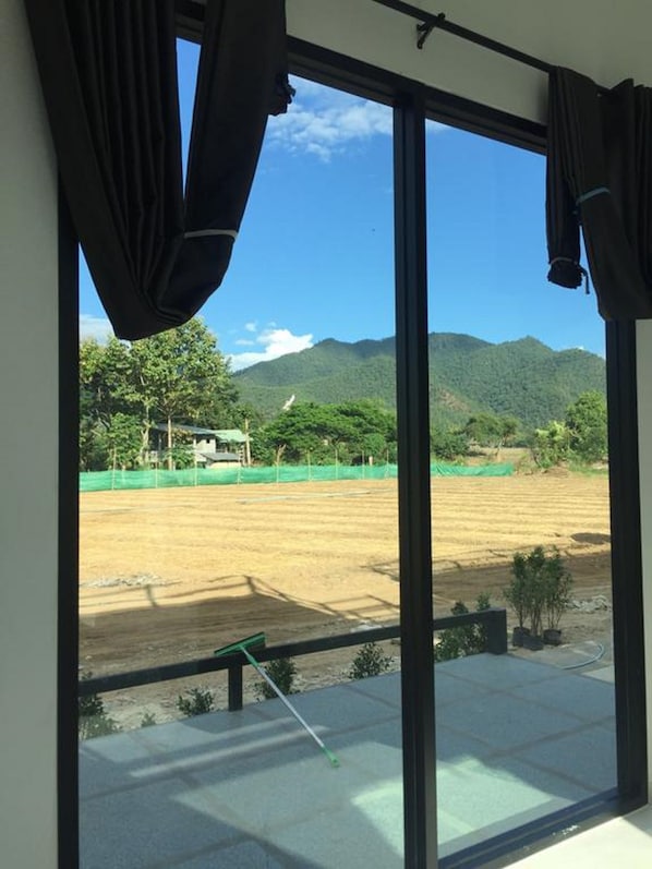 Habitación estándar | Vistas desde la habitación