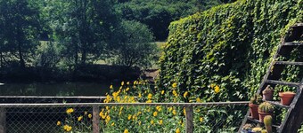 Moulin Pont Vieux - Chambres d'Hôtes