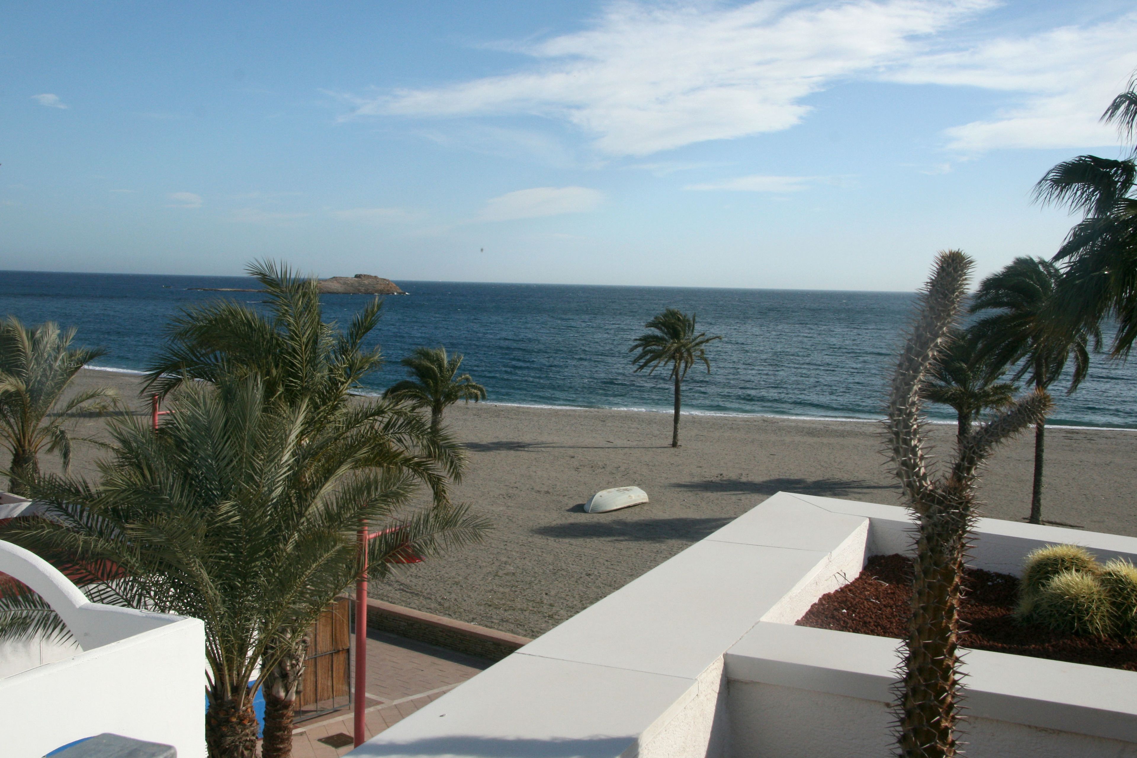 suite, terrace, sea view | view from room