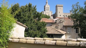 Vista desde la propiedad