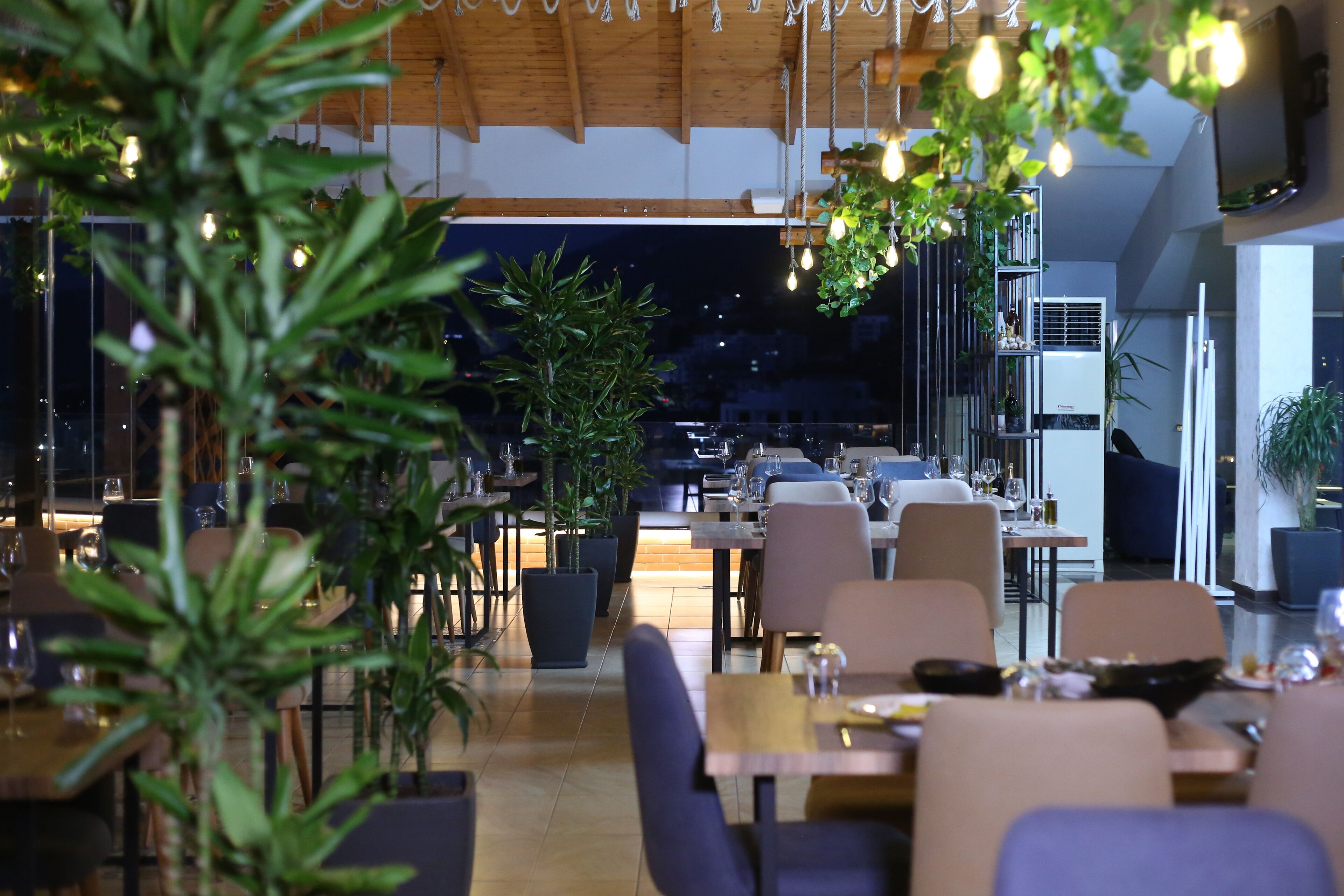 Un comedor interior con mesas y sillas, plantas en macetas y luces colgantes.