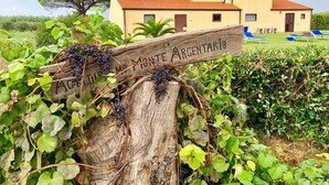 Viñedo con un letrero de madera que indica 'Monte Argentino' y un edificio con techo de tejas rojas al fondo.