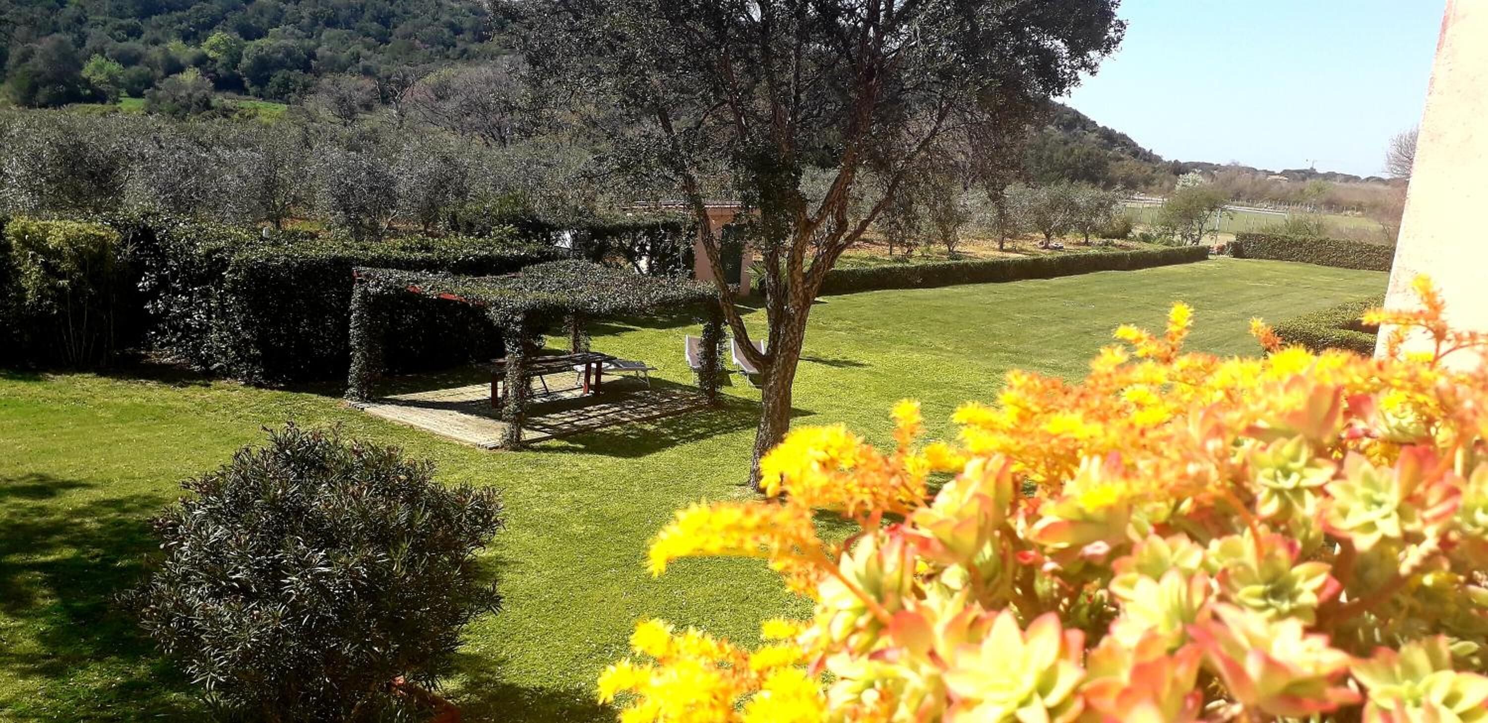 Terrein van de accommodatie