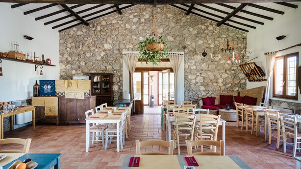 Un interior rústico con paredes de piedra, muebles de madera y una planta colgante.