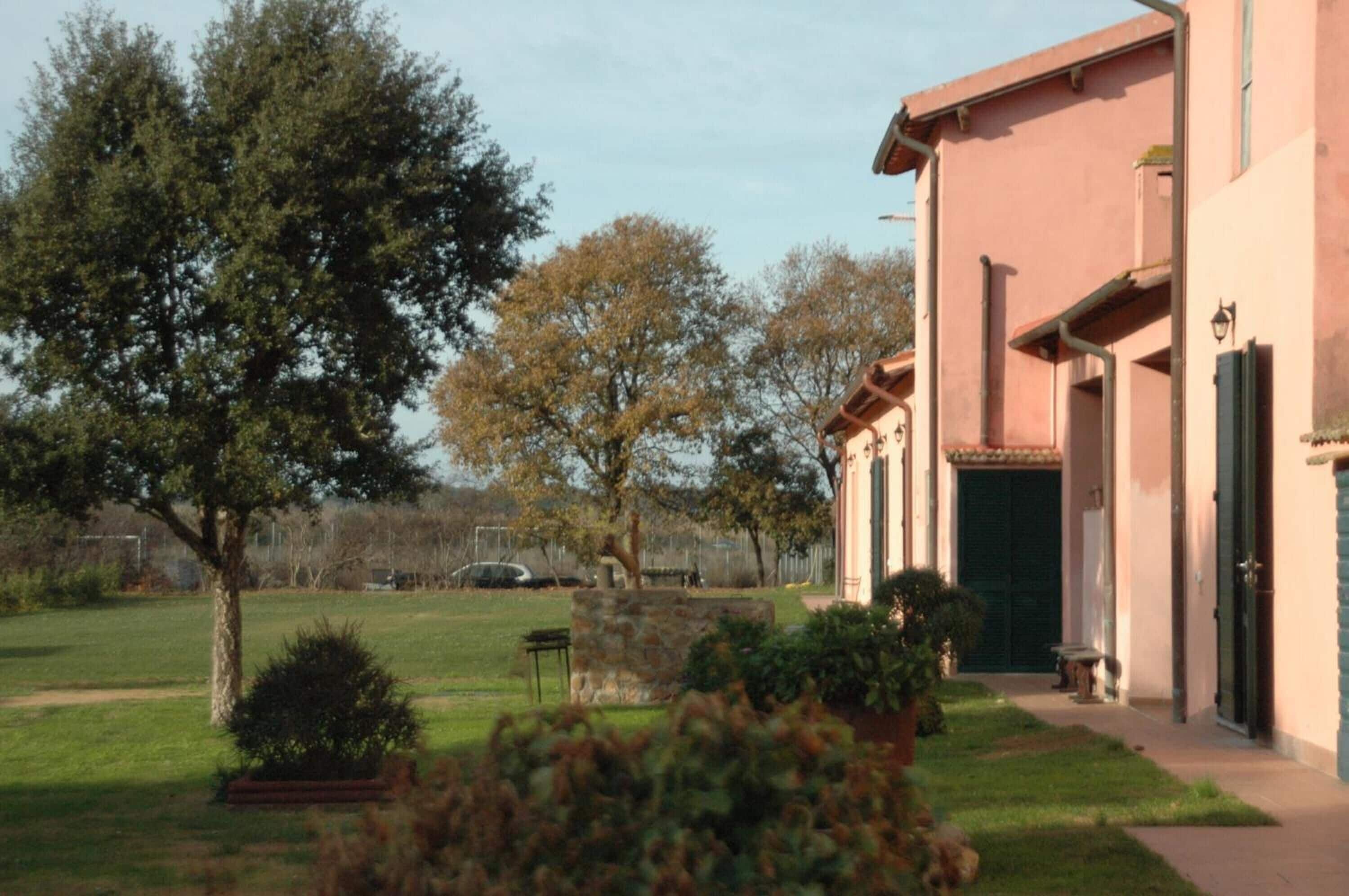A building with a pink facade, a stone base, and a green door. There is a tree in the foreground and another in the background.