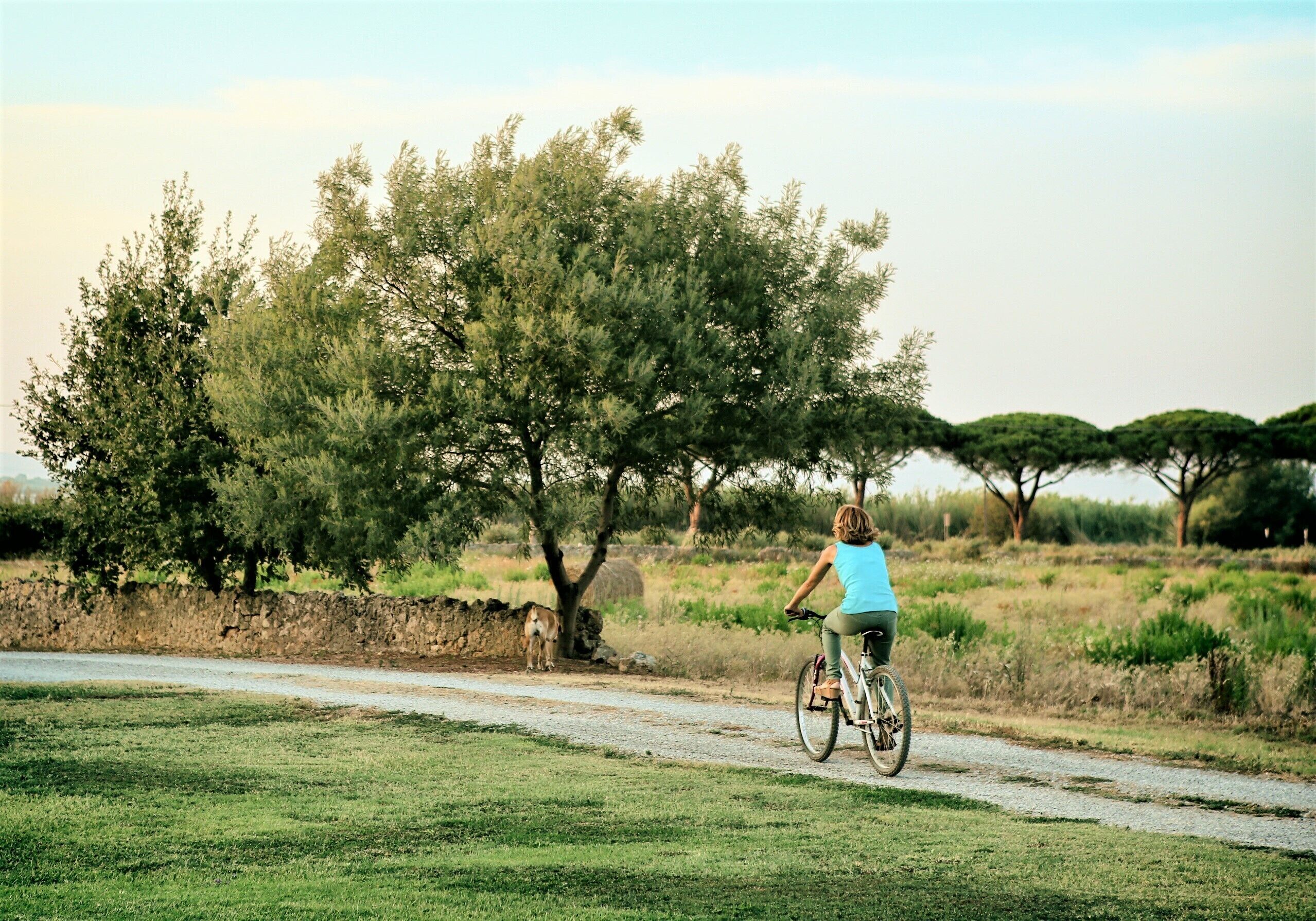 Una persona montando una bicicleta sobre un camino de grava bordeado de árboles.