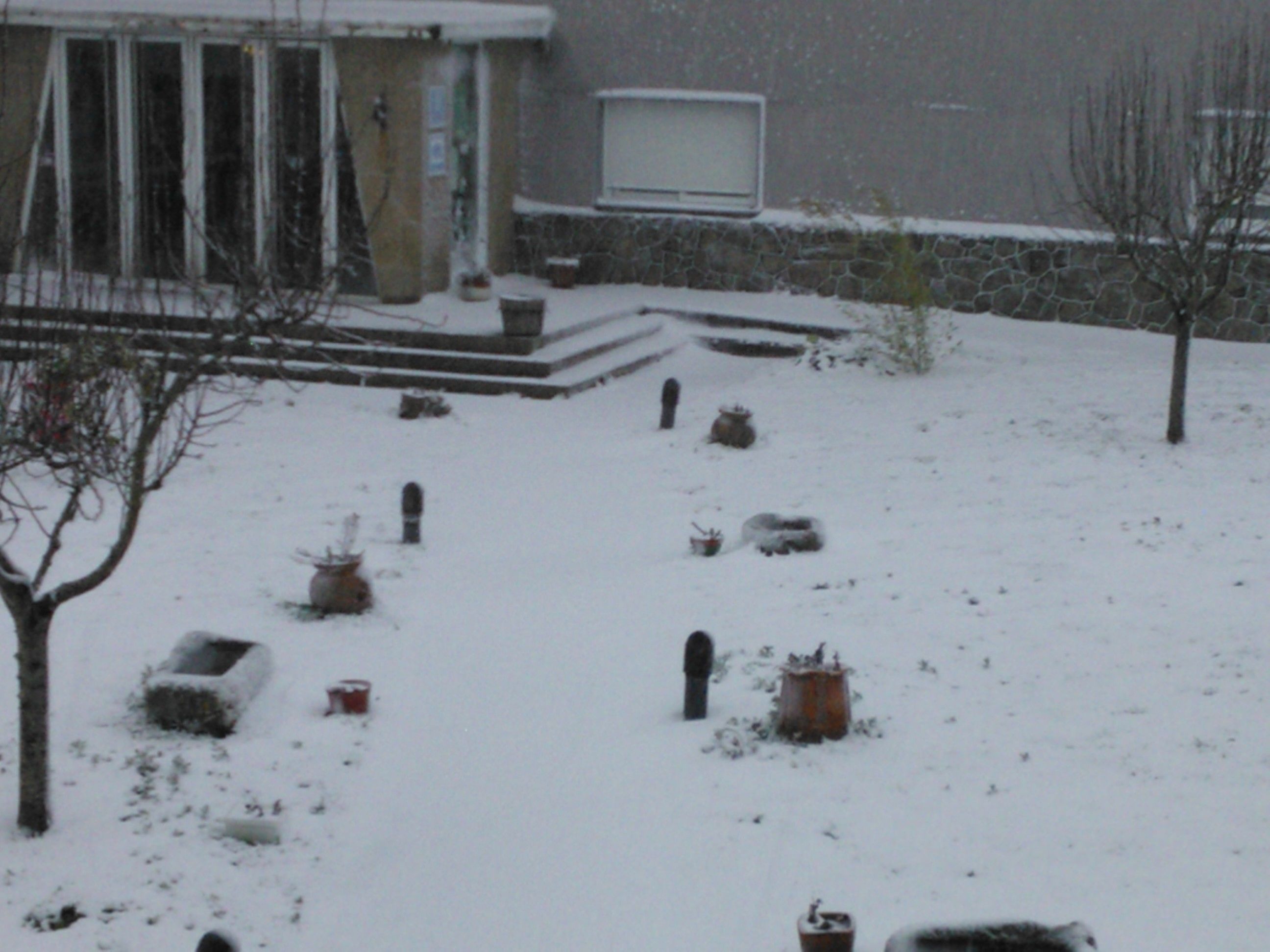 Foto - Hotel As Maceiras